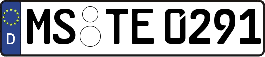 MS-TE0291