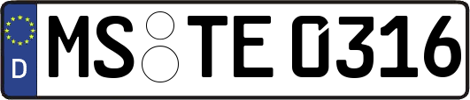 MS-TE0316