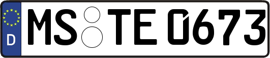 MS-TE0673