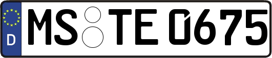 MS-TE0675