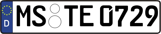 MS-TE0729
