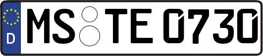 MS-TE0730