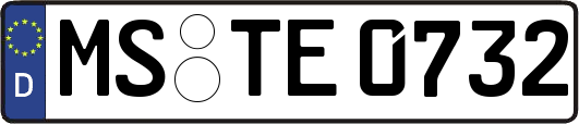 MS-TE0732