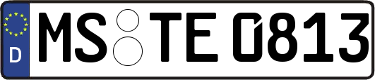 MS-TE0813