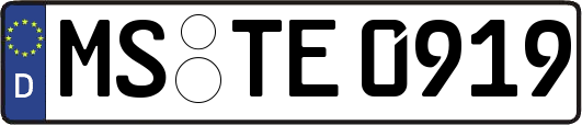 MS-TE0919