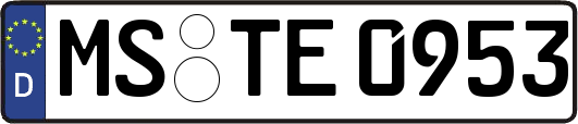 MS-TE0953