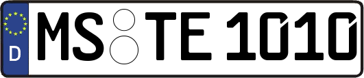 MS-TE1010
