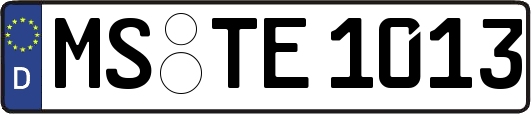 MS-TE1013