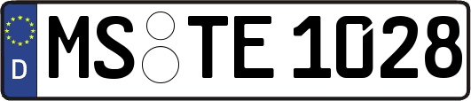 MS-TE1028