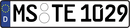 MS-TE1029