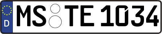 MS-TE1034