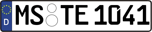 MS-TE1041