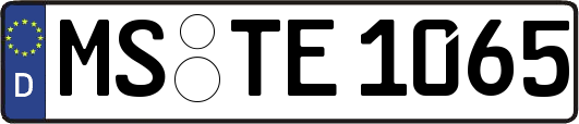 MS-TE1065