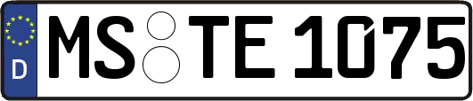 MS-TE1075