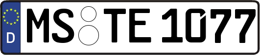 MS-TE1077