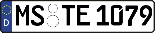 MS-TE1079