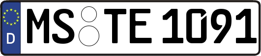 MS-TE1091