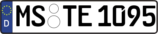 MS-TE1095
