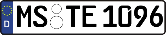 MS-TE1096
