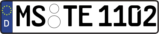MS-TE1102