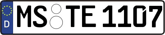 MS-TE1107