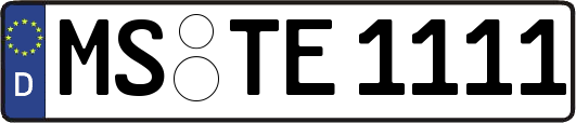 MS-TE1111