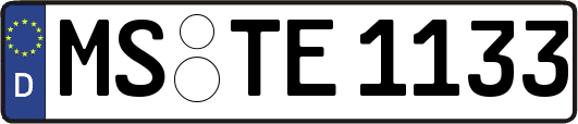 MS-TE1133