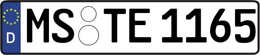 MS-TE1165