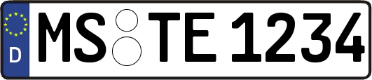 MS-TE1234