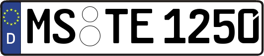 MS-TE1250