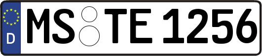MS-TE1256