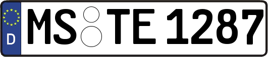 MS-TE1287
