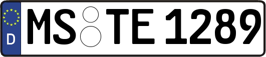 MS-TE1289