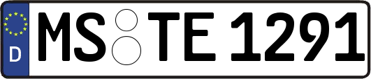 MS-TE1291