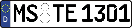 MS-TE1301