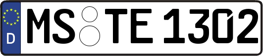 MS-TE1302
