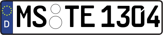MS-TE1304