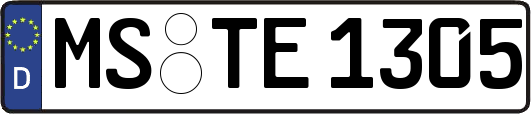 MS-TE1305