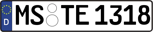 MS-TE1318