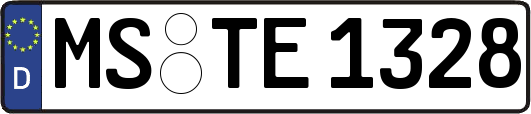 MS-TE1328