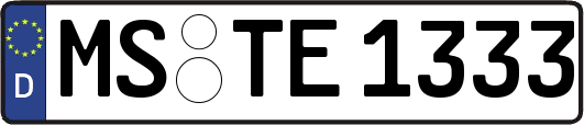 MS-TE1333
