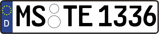 MS-TE1336