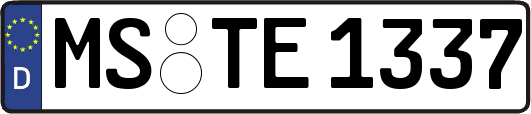 MS-TE1337