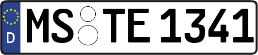 MS-TE1341