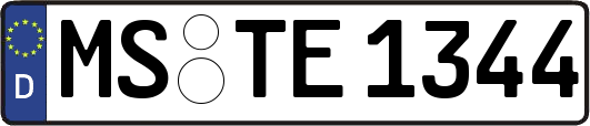 MS-TE1344