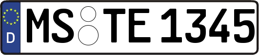 MS-TE1345