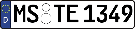 MS-TE1349