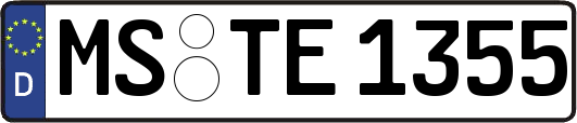 MS-TE1355