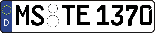 MS-TE1370