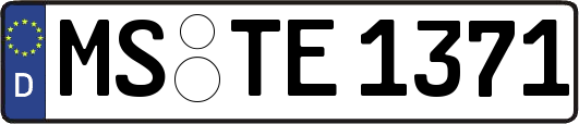 MS-TE1371
